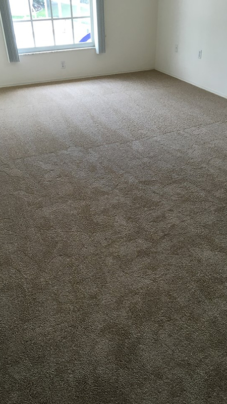 carpet flooring sarasota